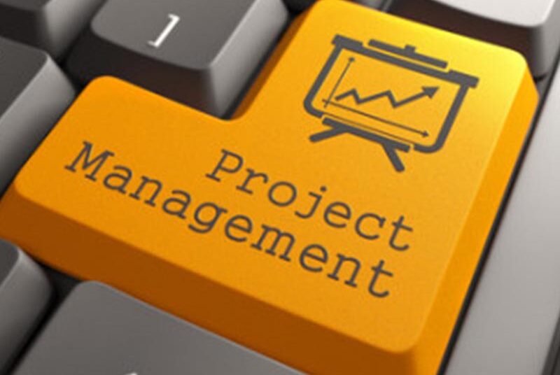 Management du projet
