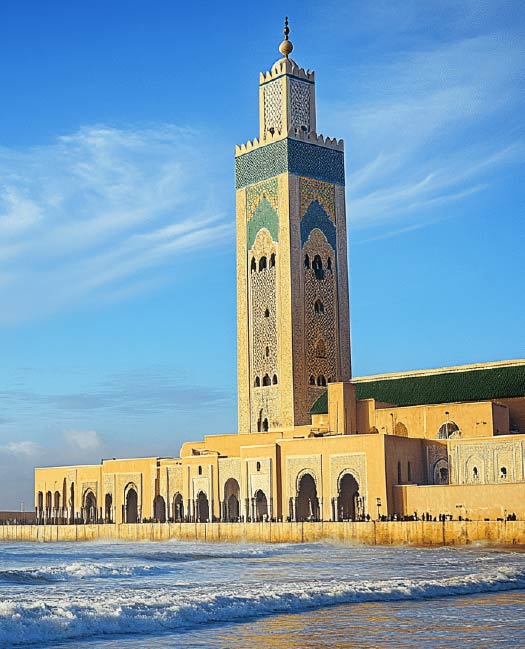 29010984_31j_2_ecer_background_9-02